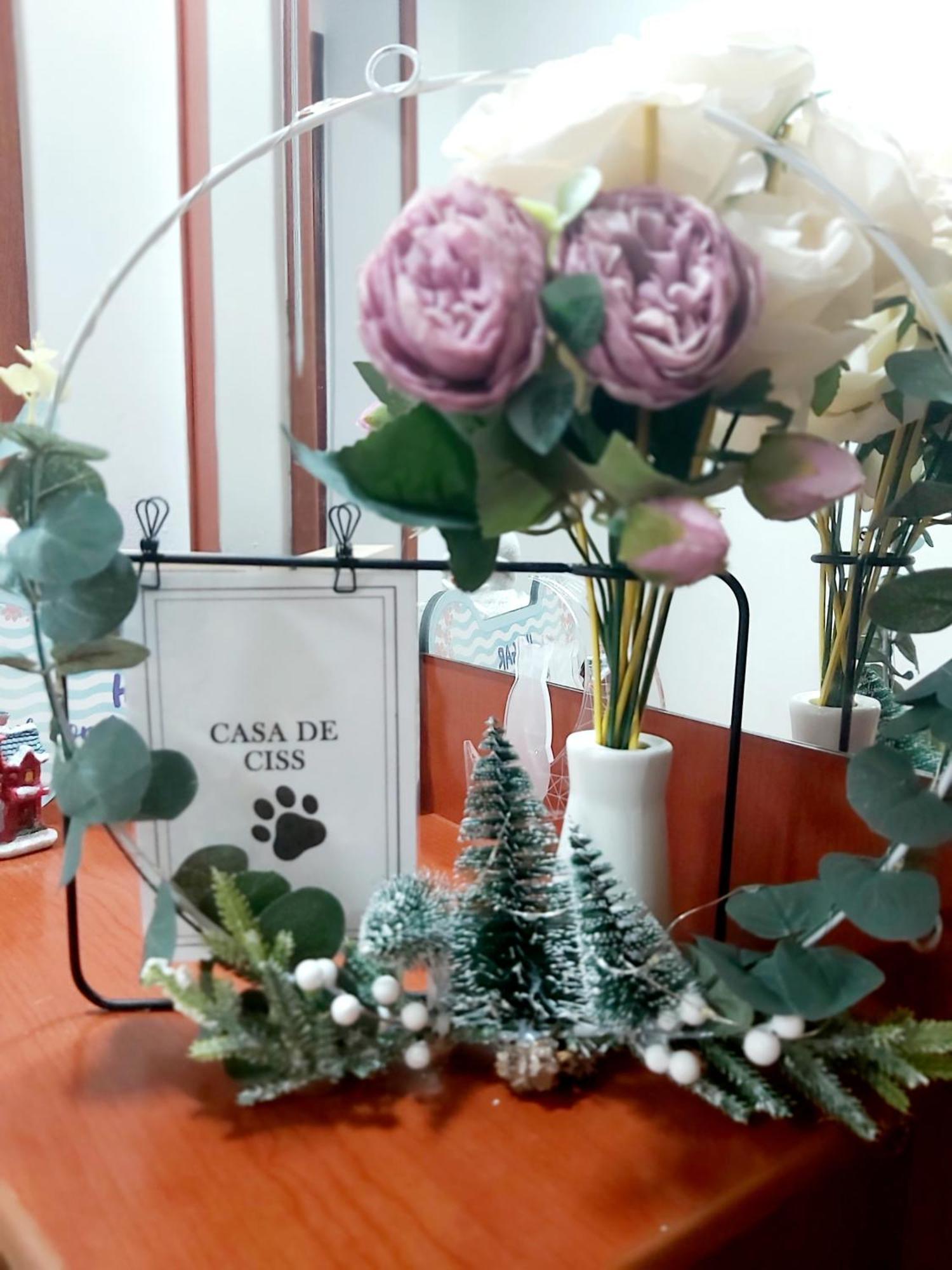 Casa De Ciss Lejlighed Madrid Eksteriør billede